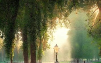 Огромную паховую грыжу удалили пациенту в Подмосковье