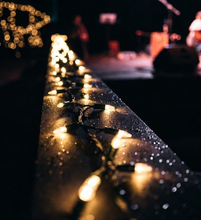 IMG_01 гирлянда светодиодная купить