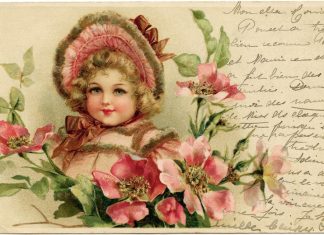 Эволюция городского ландшафта в филокартии открытки винтаж