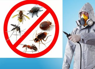 Профессиональный подход к дезинсекции уничтожение тараканов и клопов