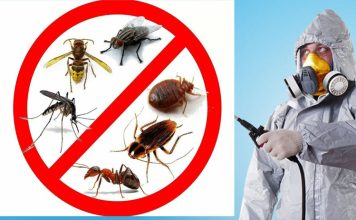 Профессиональный подход к дезинсекции уничтожение тараканов и клопов