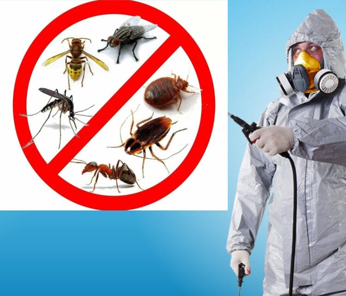 IMG_01 уничтожение тараканов и клопов